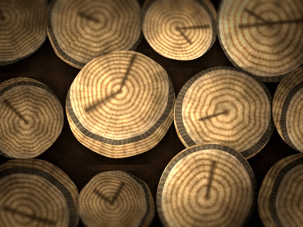 Ясеневые дрова — ракурс 3